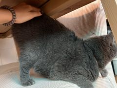 -春笙食堂.丼饭拉面寿司(GOGO新天地店)