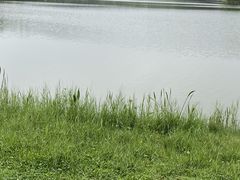 -东莞植物园