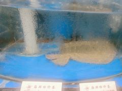-一块豆腐(李沧书院路店)