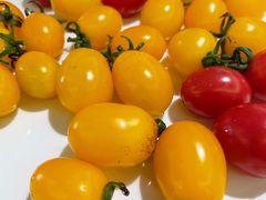 小番茄-桃园农庄·桃源宴