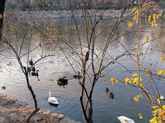 -石家庄市动物园