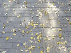 -钓鱼台国宾馆