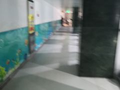 -武钢体育中心恒温游泳馆