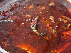 -陈胖子鱼庄(黄辣丁新津店)