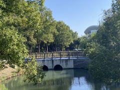 -溱湖国家湿地公园