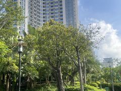 -三亚凤凰水城凯莱度假酒店