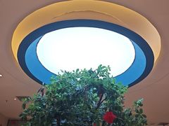 -悦海·家宴·冰花皮皮虾大锅贴(宝龙店)