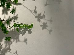 -满香舒·漳州小馆(大唐店)