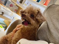 -美联众合动物医院·24h转诊中心
