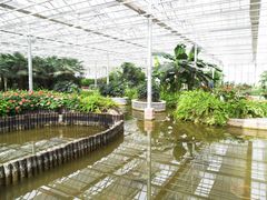 生态园-上海鲜花港