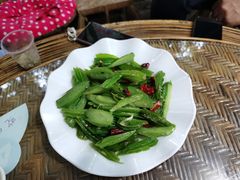 -晓雯人家