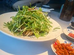 -凤凰湘语(浦东旗舰店)