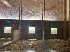 -汤泉良子.足疗按摩.SPA(中关村店)