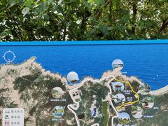 -广东惠东海龟国家级自然保护区