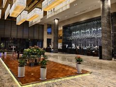 -徐州博顿温德姆酒店(高铁东站店)