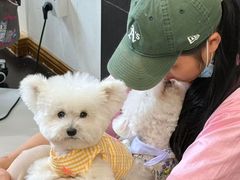 -Oh My Dog宠物沙龙(伊珊娜皮毛护理店)