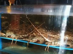 -阿伟海鲜楼·福建菜(延寿店)