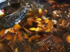 乌鸡锅底-太婆天府山珍酒楼(亚运村店)