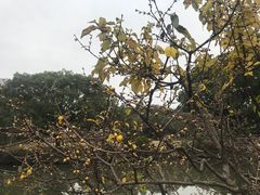 -无锡梅园公园