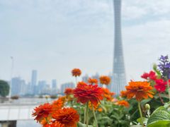 -海心沙亚运公园