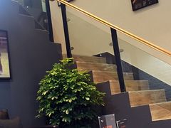 -宠宠熊宠物美容(星湖街店)