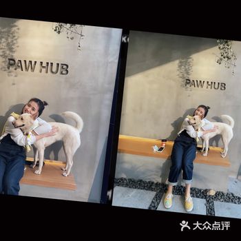 淑女出发去social