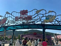 -徐州乐园加勒比水世界