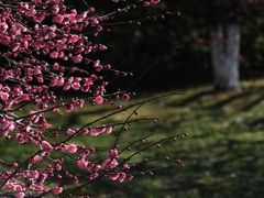 -石湖景区