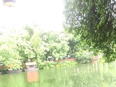 -侨美·唐荔园·40年地道粤菜