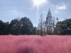 -嘉北郊野公园