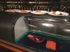 -岷山饭店-芝芝自助餐厅