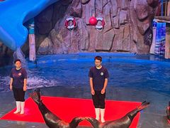 -烟台海昌鲸鲨海洋公园