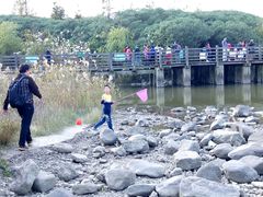 -吴淞炮台湾湿地森林公园烧烤区