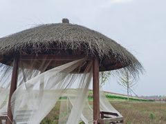 -径山花海