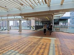 -香港大学