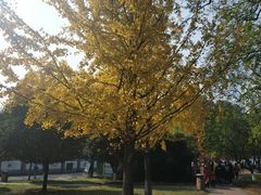 -书亦烧仙草(红星小学店)