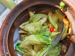 啫啫生菜煲-陶陶居酒家(第十甫路总店)