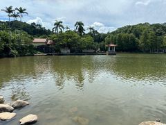 -深圳仙湖植物园