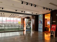 -天幕新彩云国际影城(激光巨幕店)