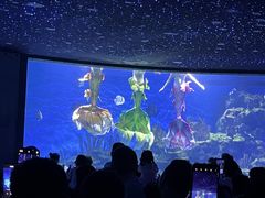-海合安武汉极地海洋公园
