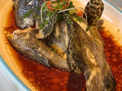 鲜活龙趸石斑鱼-涌上外婆桥(南塘店)