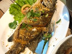 -Doo Dee Thai Food(Issan/Isaan/Esan)