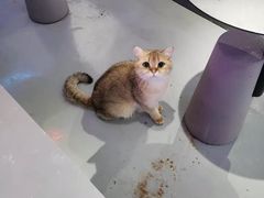 -极木²邸 人与宠物·互动社区