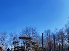 -东郊湿地公园