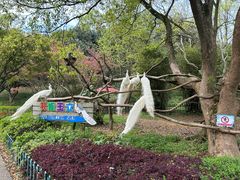 -宁波野生动物园