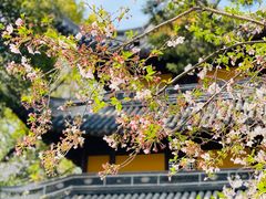 -龙华寺
