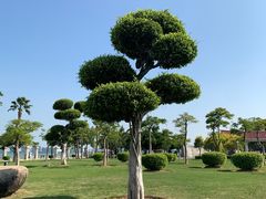 -集美鳌园景区