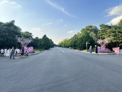 -北陵公园