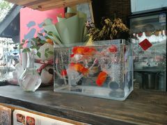 -老地方猫儿面(磁器口店)