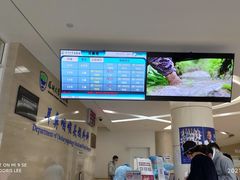 -深圳大学总医院